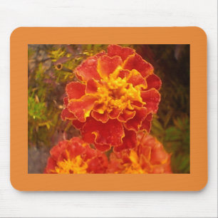 Mousepad Cravo-de-defunto alaranjado