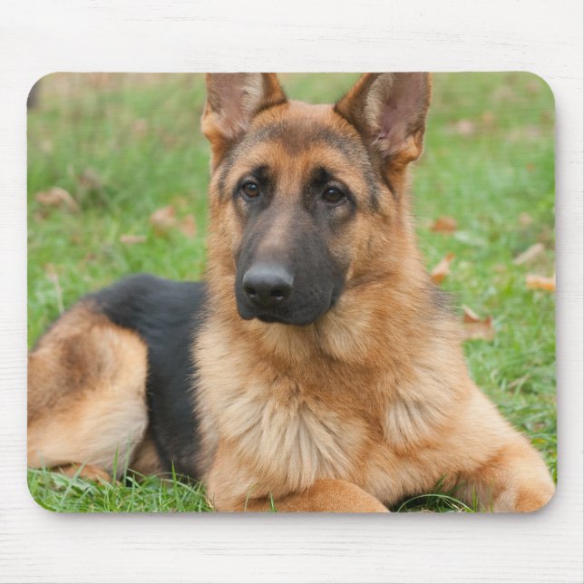 Mousepad Create Your Own Pet Photo Custom Picture (Frente)