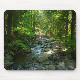 Mousepad Creek de Água Raiva no Parque Nacional de Monte R