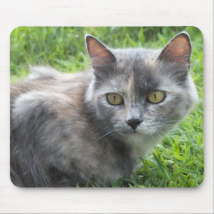 Mousepad Creme azul - Pad do mouse do Gatinho Tortie