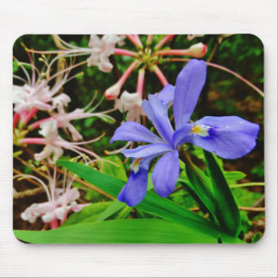 Mousepad Crested Dwarf Iris