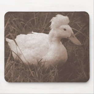 Mousepad Crestie, o Pato Deitado