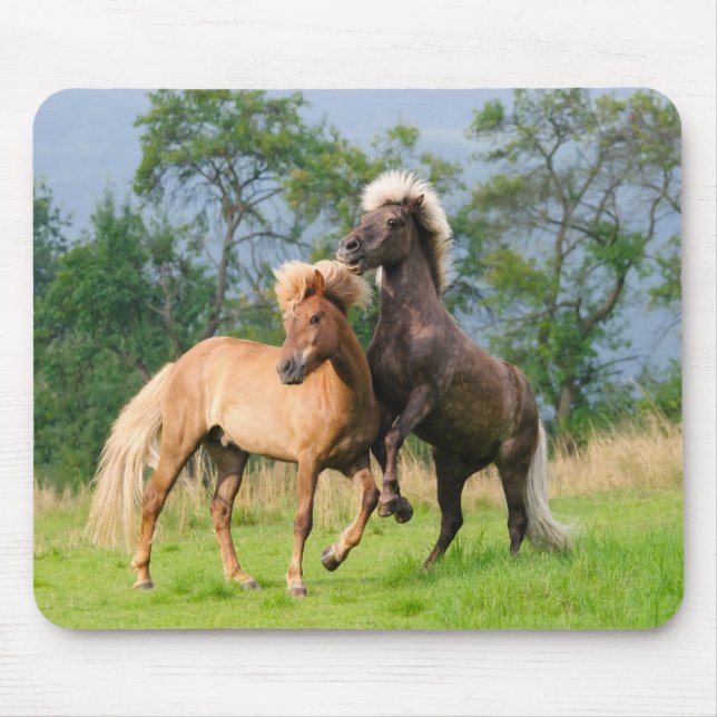 Mousepad Criação e reprodução de cavalos da Islândia (Frente)