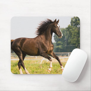Mousepad Crie a Foto do Seu Próprio Cavalo de Estimação Per