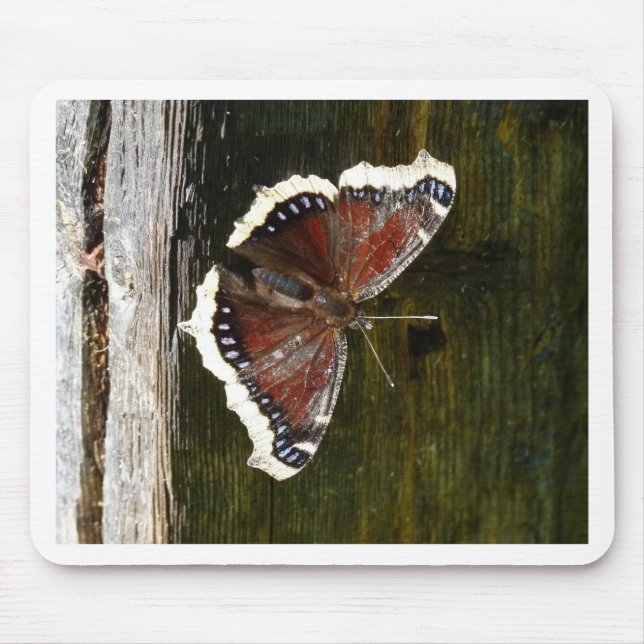 Mousepad Crimson e Borboleta Branca (Frente)