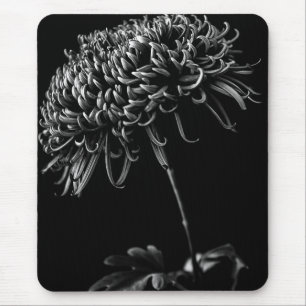 Mousepad Crisântemo