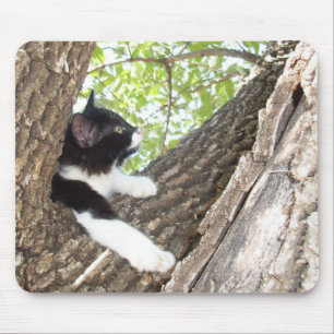 Mousepad Cristóvão de smoking branco e preto