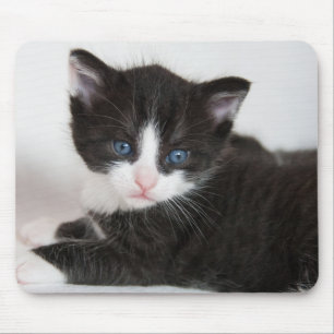 Mousepad Cristóvão de smoking preto-e-branco