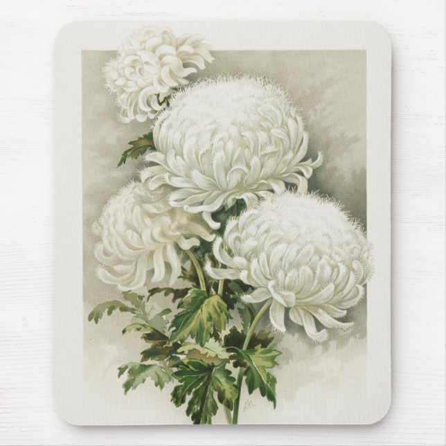 Mousepad Crítemos - Elegante Vintage Botânica (Frente)