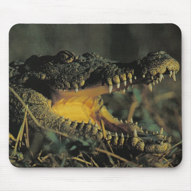 Mousepad Croc com fome (Frente)