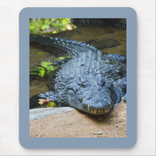 Mousepad Crocodile