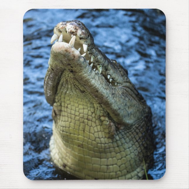 Mousepad Crocodile Teeth Water (Frente)