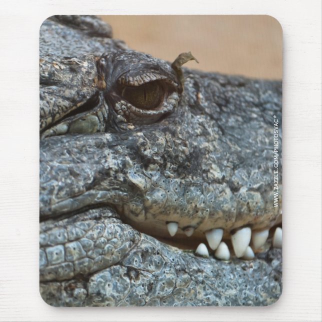 Mousepad Crocodilo (Frente)