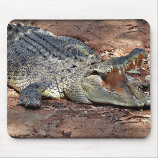 Mousepad - crocodilo