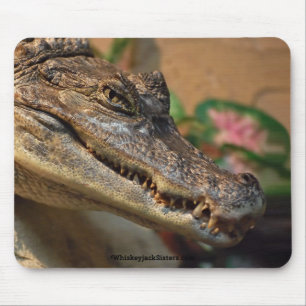 Mousepad Crocodilo