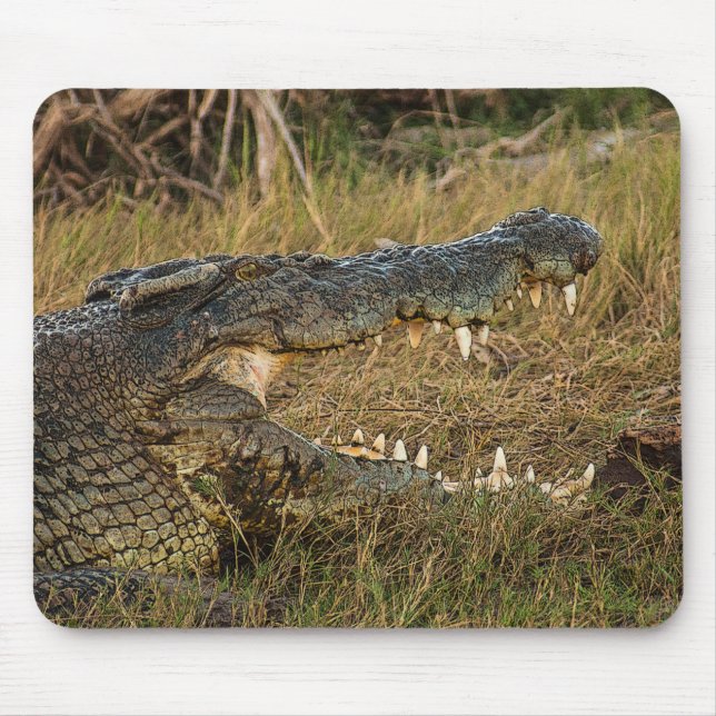 Mousepad Crocodilo (Frente)