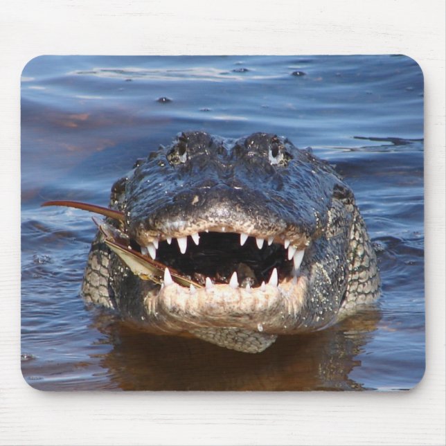 Mousepad Crocodilo de sorriso (Frente)