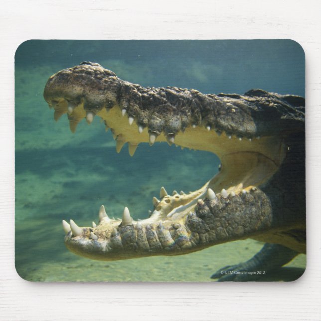Mousepad Crocodilos de boca aberta (Frente)