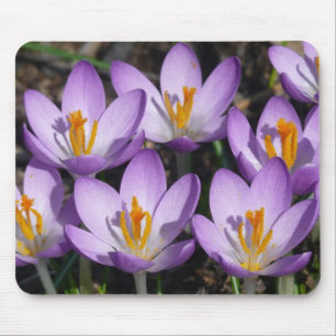 Mousepad Crocos Roxos Sunny