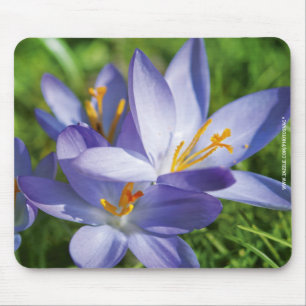 Mousepad Crocus