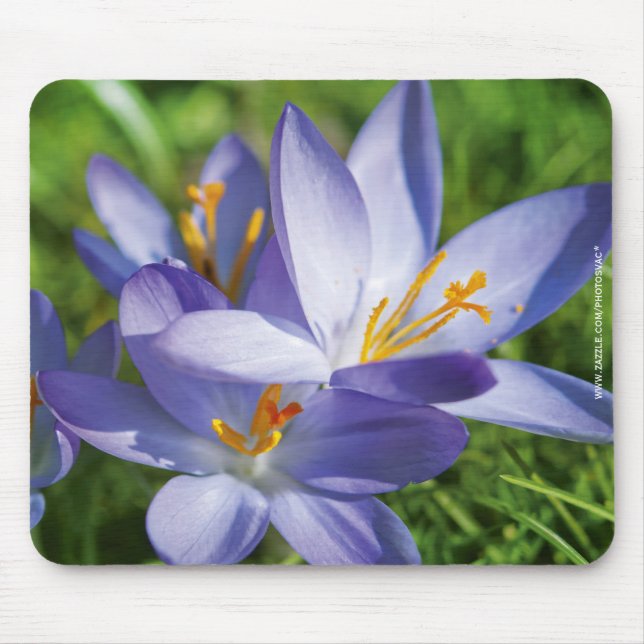Mousepad Crocus (Frente)