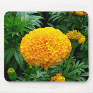 Mousepad Crolisântemo Laranja