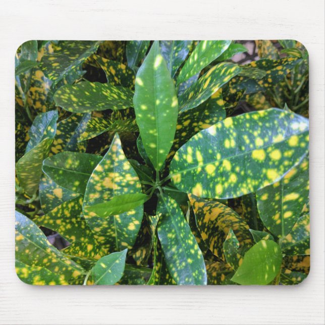 Mousepad Croton Plant (Frente)