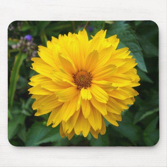 Mousepad Crysanthemum Amarelo (Frente)