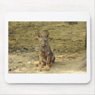 Mousepad Cub do Lobo Bonito