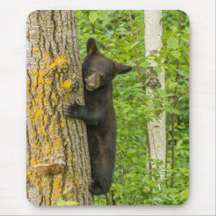 Mousepad Cubo do Urso Negro Minnesota