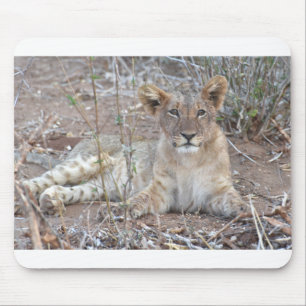 Mousepad Cubo Leão Com Uma Bela Gaze Inocente.
