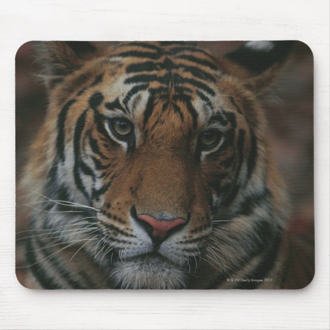 Mousepad Cubo Tigre (Frente)