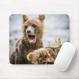 Mousepad Cubos Grizzly Procurando Sua Mãe