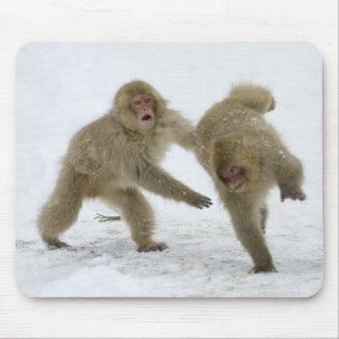 Mousepad Cubos japoneses de macaco-neve tocando neve