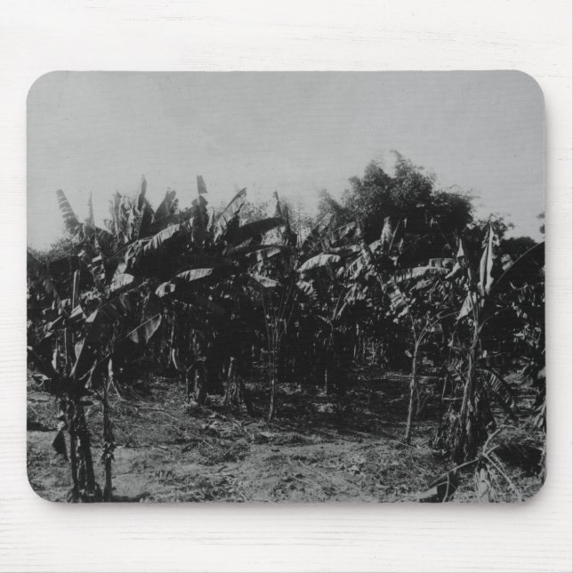 Mousepad Cultivo da banana, Trinidad, c.1891 (Frente)