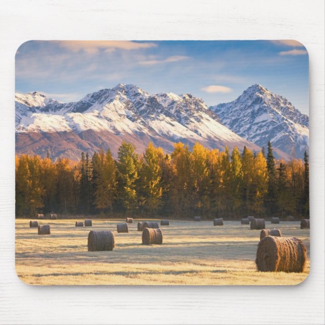 Mousepad Cultivo de Alaska (Frente)
