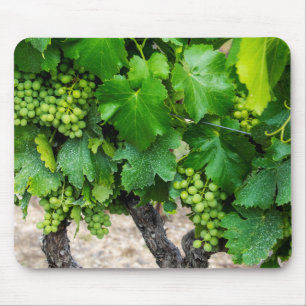 Mousepad Cultivo de Uvas para Vinho, França