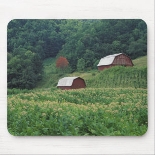 Mousepad Cultura de tabaco e par de celeiros de tabaco verm