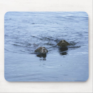 Mousepad cumbria Inglaterra do distrito do lago
