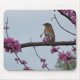 Mousepad Cumprimentos da primavera