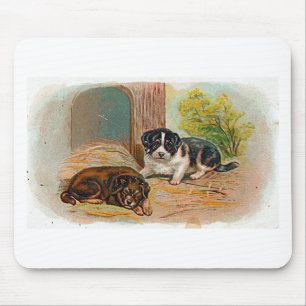 Mousepad Cuppies