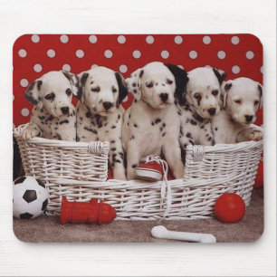 Mousepad Cuppies Dalmáticos num Bocal