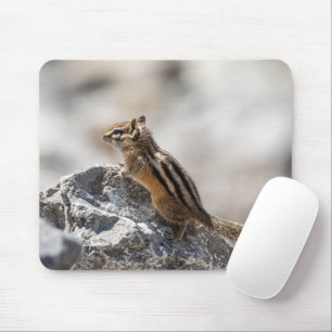Mousepad Curioso Chipmunk - Fotografia canadense sobre faun