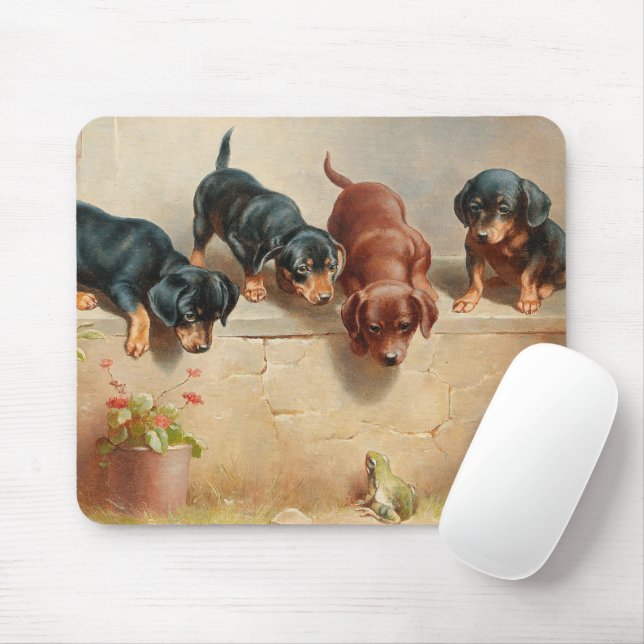 Mousepad Curioso Dachshund Puppies | Carl Reichert (Com mouse)