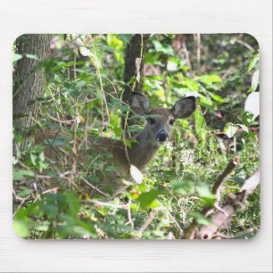 Mousepad Curioso Veado Branco