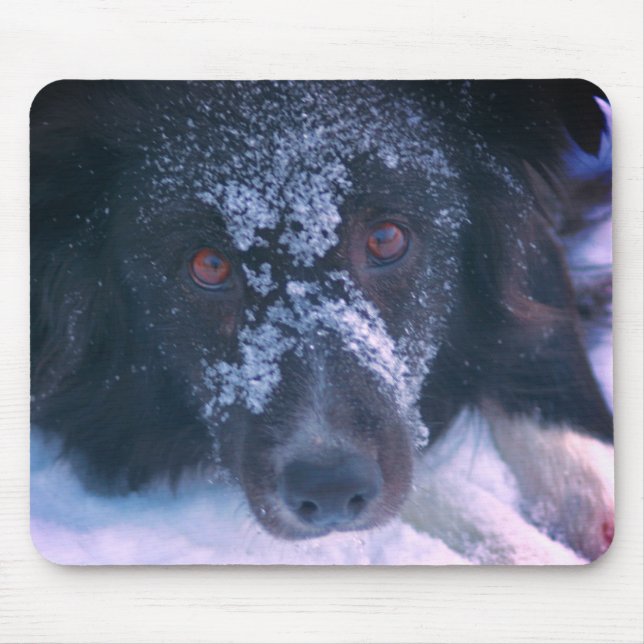 Mousepad Cuta de Cachorro Collie Enfrentado de Neve (Frente)