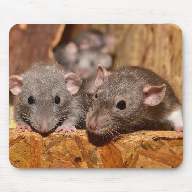 Mousepad Cuta e Irônica (Frente)