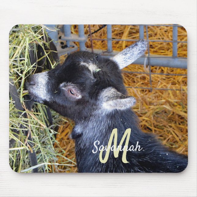 Mousepad Cute Black Baby Goat Eating Hay Photo Monogram (Frente)