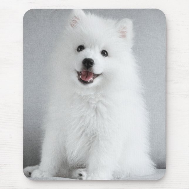Mousepad Cute Fluffy Japanese Spitz Puppy (Frente)