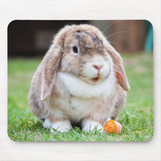 Mousepad Cute Holland Mini Lop Bunny Rabbit (Frente)